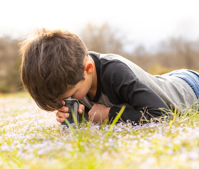 Close up:   Using a Pocket Microscope for Nature Study