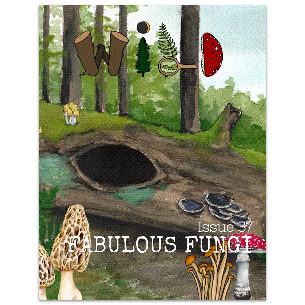 WILD Mag Issue 37: Fungi