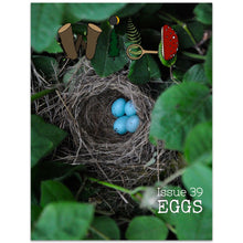 WILD Mag Issue 39: Eggs