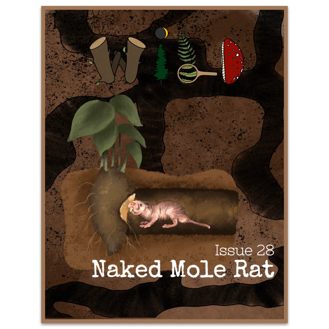WILD Mag Issue 28: Naked Mole-Rats