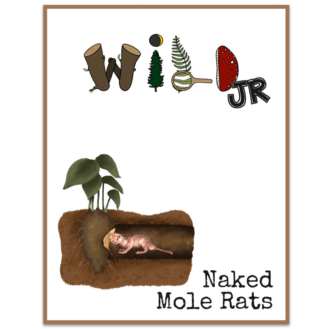 WILD Mag Jr - Naked Mole-Rats