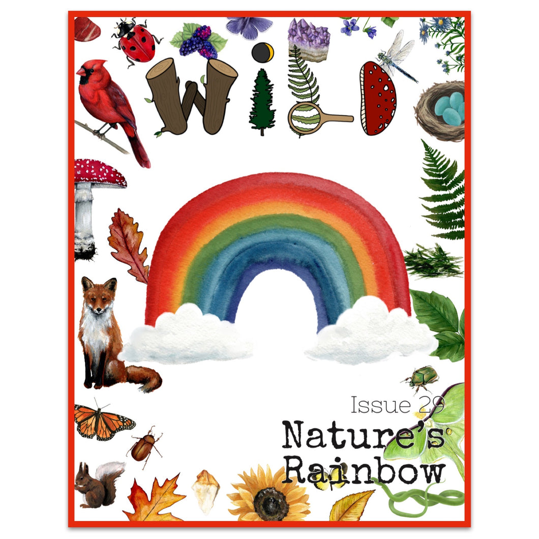 WILD Mag Issue 29 - Nature's Rainbow