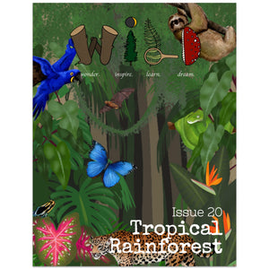 WILD Mag Issue 20 - Tropical Rainforest