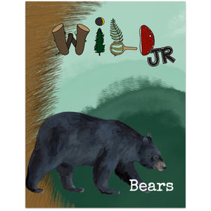 WILD Mag Jr - Bears