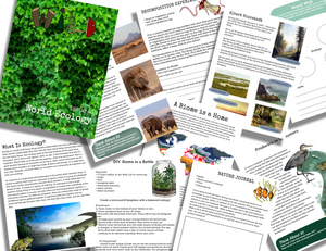 WILD Mag Issue 41: World Ecology
