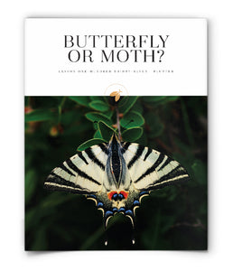 Butterfly or Moth?