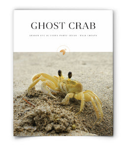 Ghost Crab