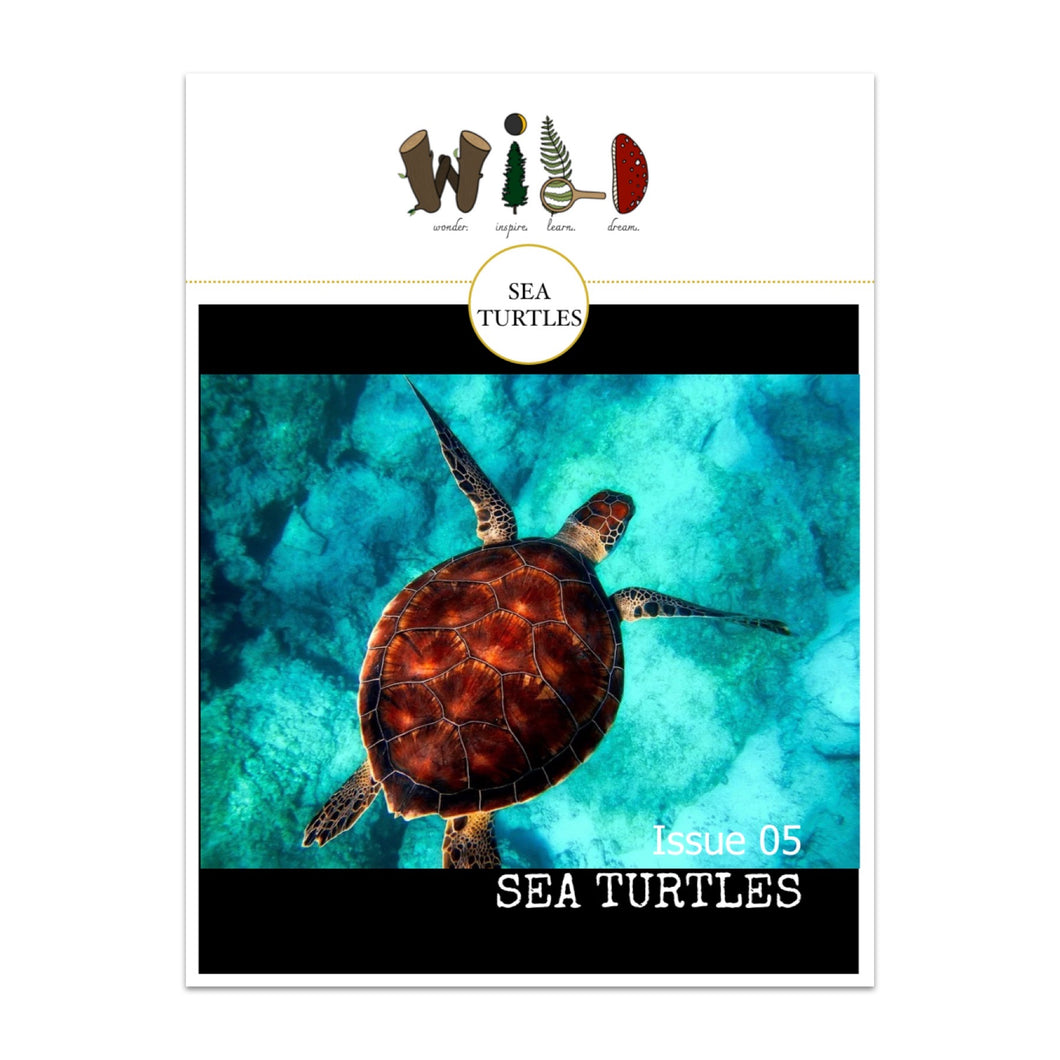 WILD Mag Issue 5 - Sea Turtles