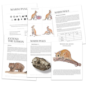Marsupials