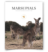 Marsupials