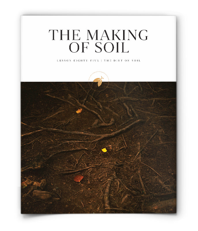 The Making of Soil