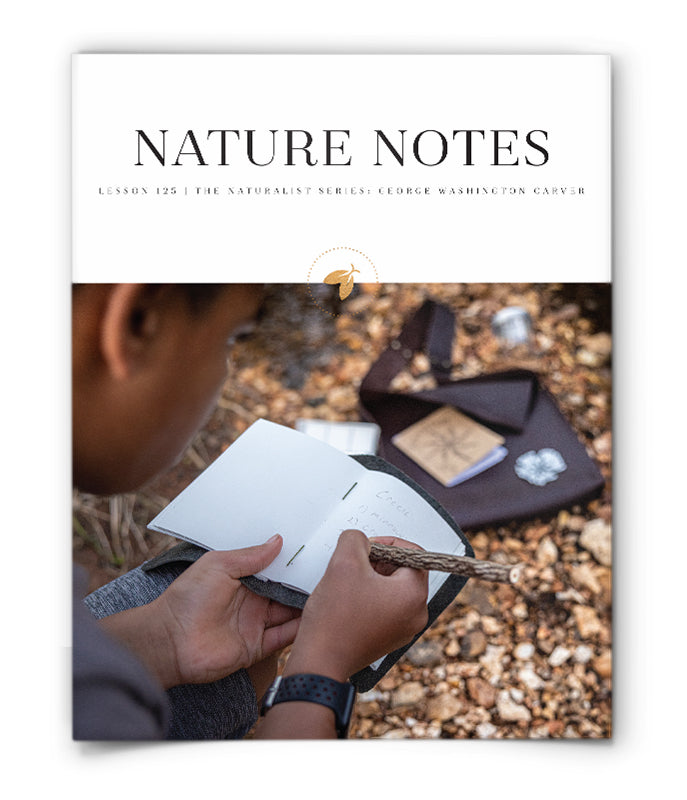 Nature Notes