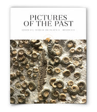 Pictures of the Past