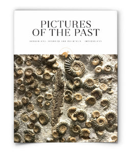 Pictures of the Past