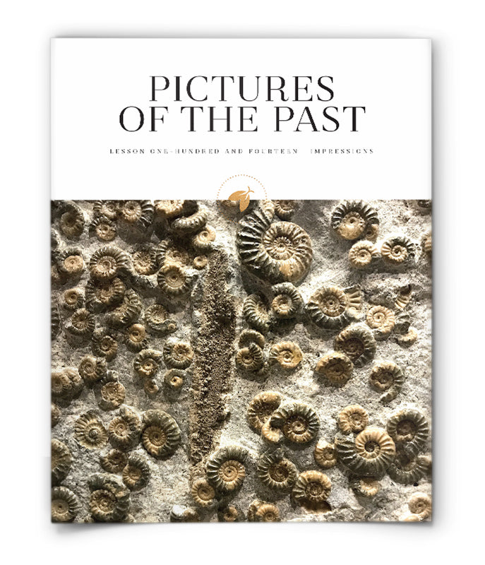 Pictures of the Past