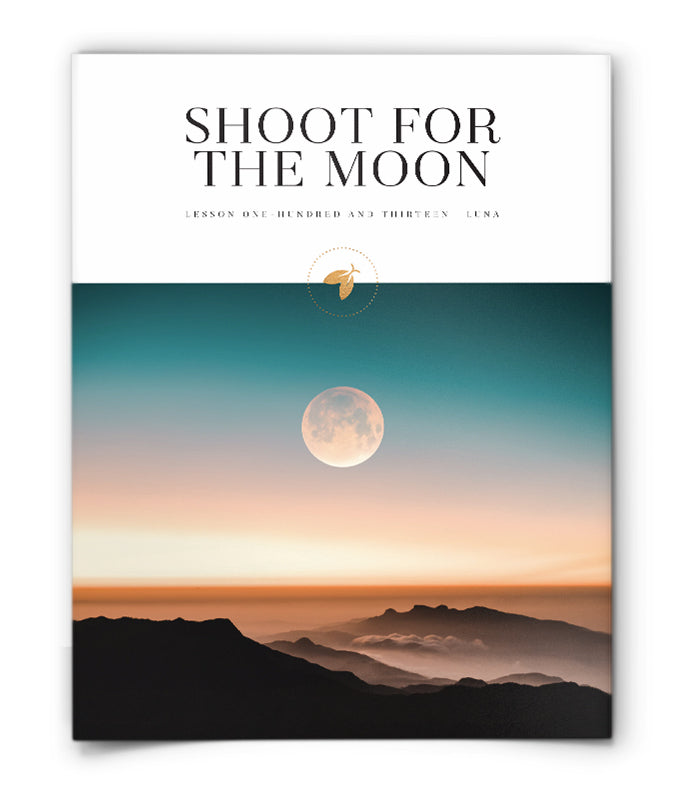 Shoot for the Moon