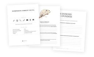 Temperate Forest Fauna