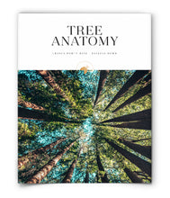 Tree Anatomy