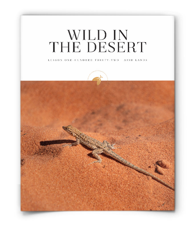 Wild in the Desert