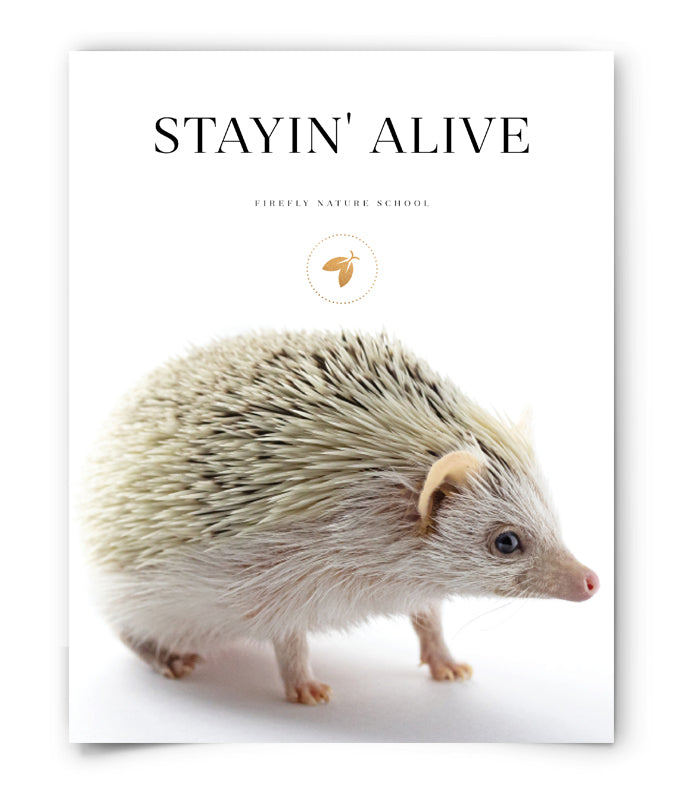Stayin' Alive